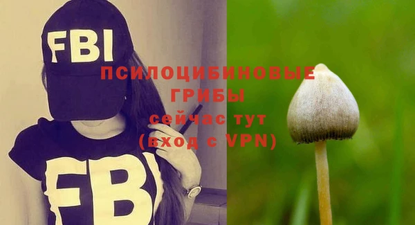 молекула духа Михайловка